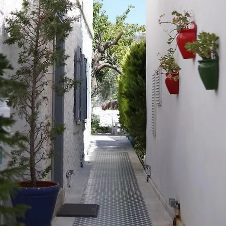Hotel Vintage 4*