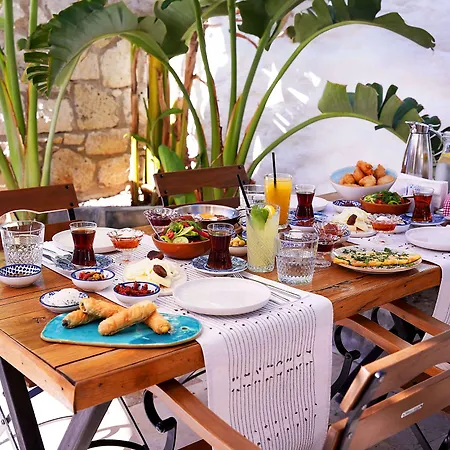 Hotel Vintage 4*