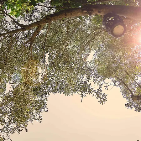 Vintage 4* Alaçatı