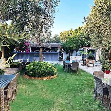 Vintage אלאקאטי