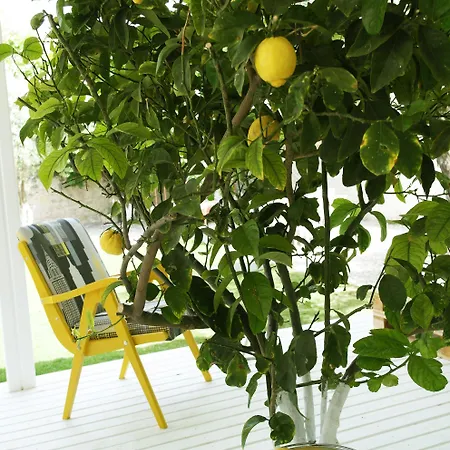 Vintage 4* 알라카티