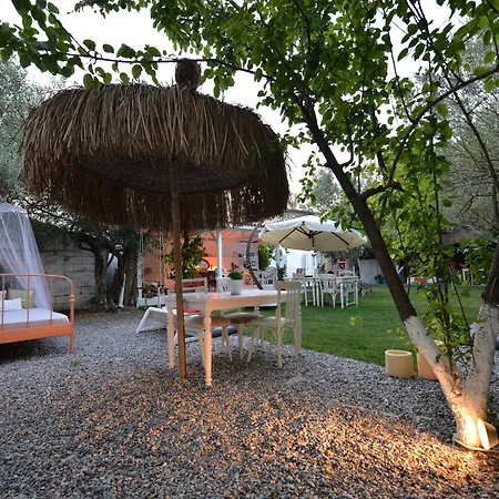 Hotel Vintage 4*