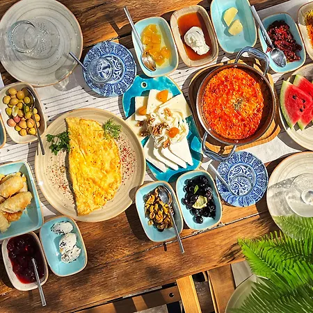 Vintage 4* אלאקאטי