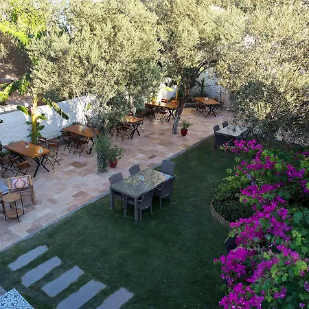 Vintage אלאקאטי